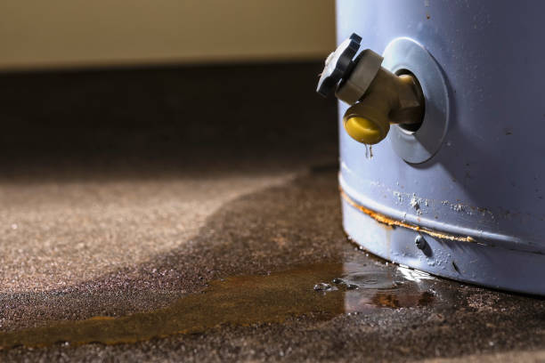 Best 24/7 water damage repair  in Daleville, IN
