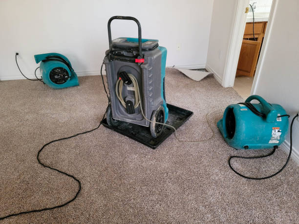 Water damage restoration insurance claims in Daleville, IN