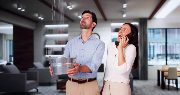 Professional Water damage restoration in Daleville, IN